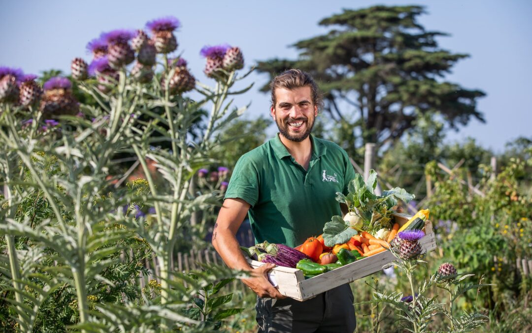 Les marchés à la Ferme de La Fontaine