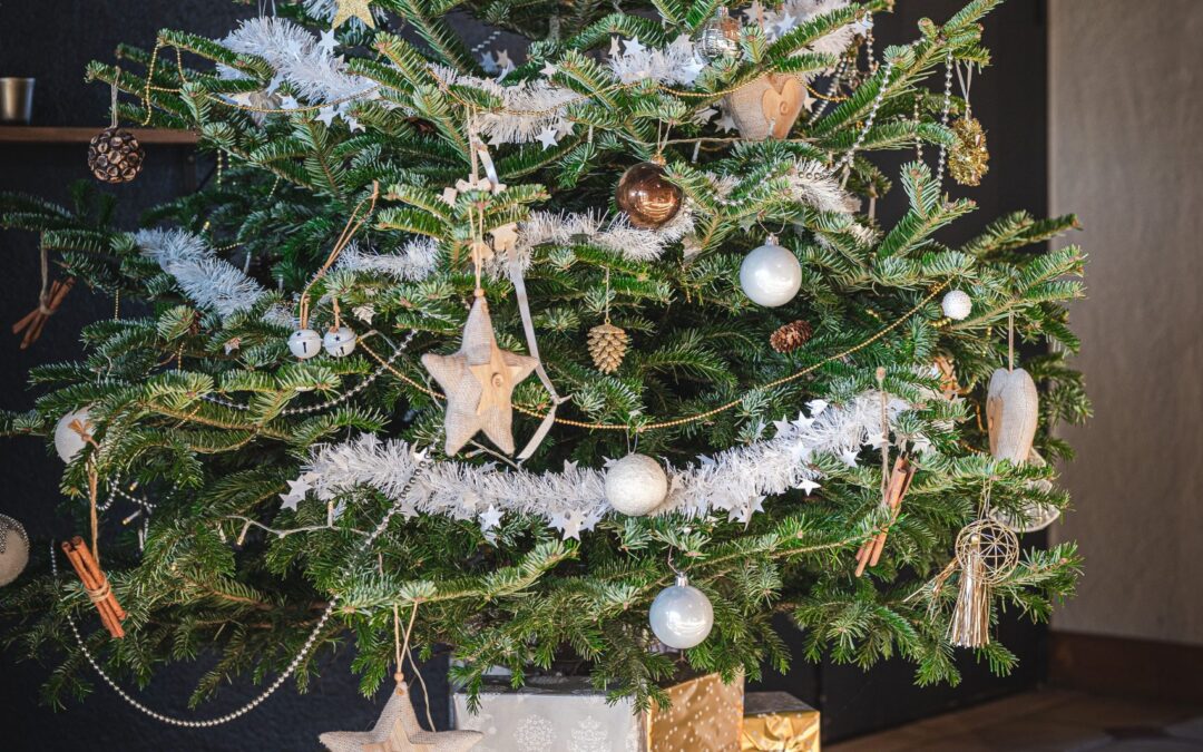 Marché de Noël 2024 Pornic