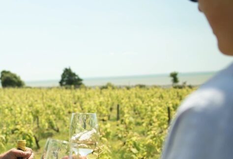 atelie oenologie hotel restaurant éco domaine la fontaine pornic