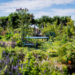 jardins-la-fontaine