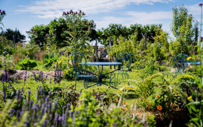 Chorales Au Jardin | Rencontres de Chorales | Pornic