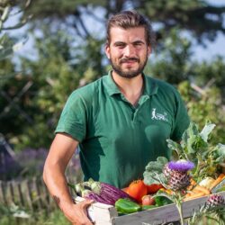 panier-de-legumes-e