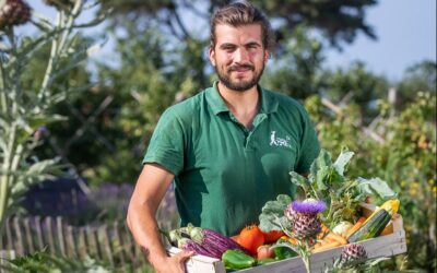 Le marché à la ferme de l’Éco-Domaine La Fontaine à Pornic : produits frais et artisanaux