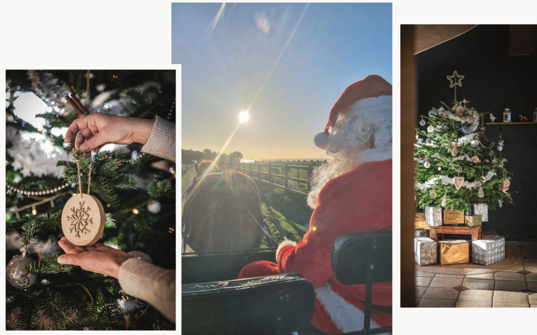 Menu de Noël et Nouvel An, restaurant Éco-Domaine La Fontaine à Pornic