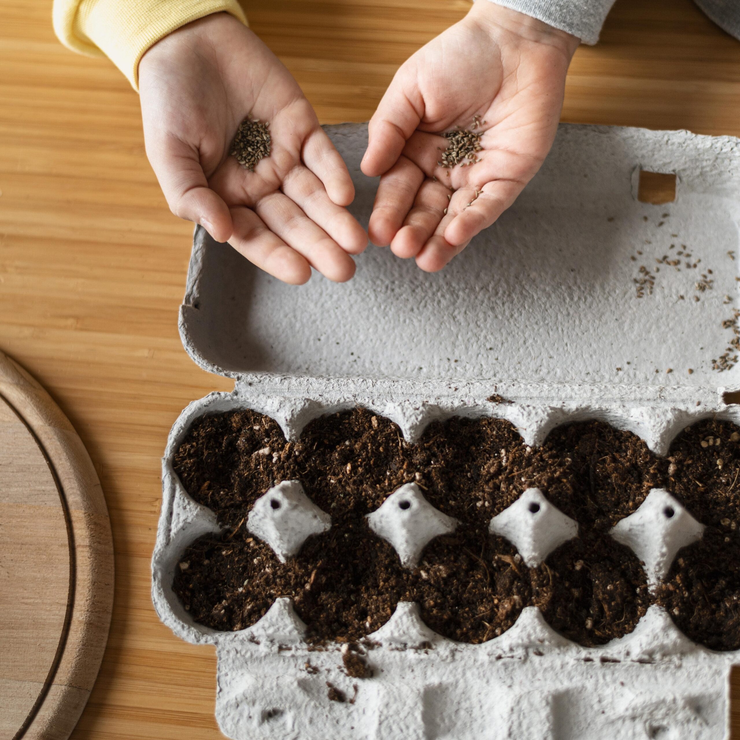 top-view-young-kids-holding-dirt-planting-seeds-min-scaled.jpg