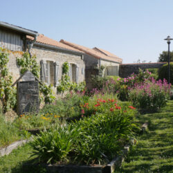 visiter-une-ferme-permaculture.jpg
