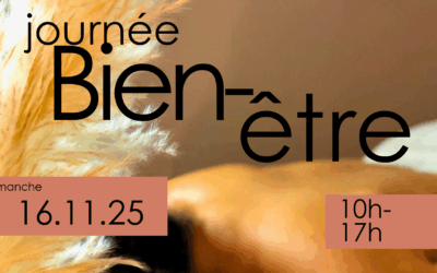 Journée Bien être au spa de l’éco-domaine la fontaine, Pornic
