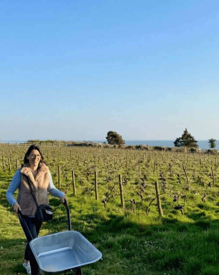 Intelligence collective pornic