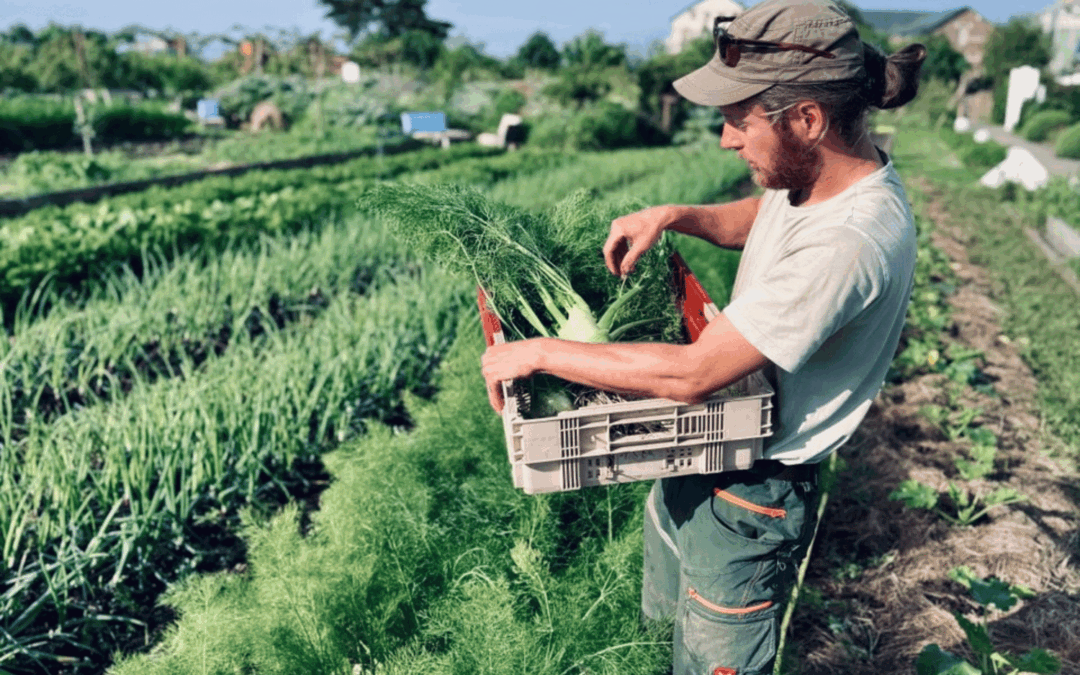 Cuisine locale du restaurant potager à Pornic