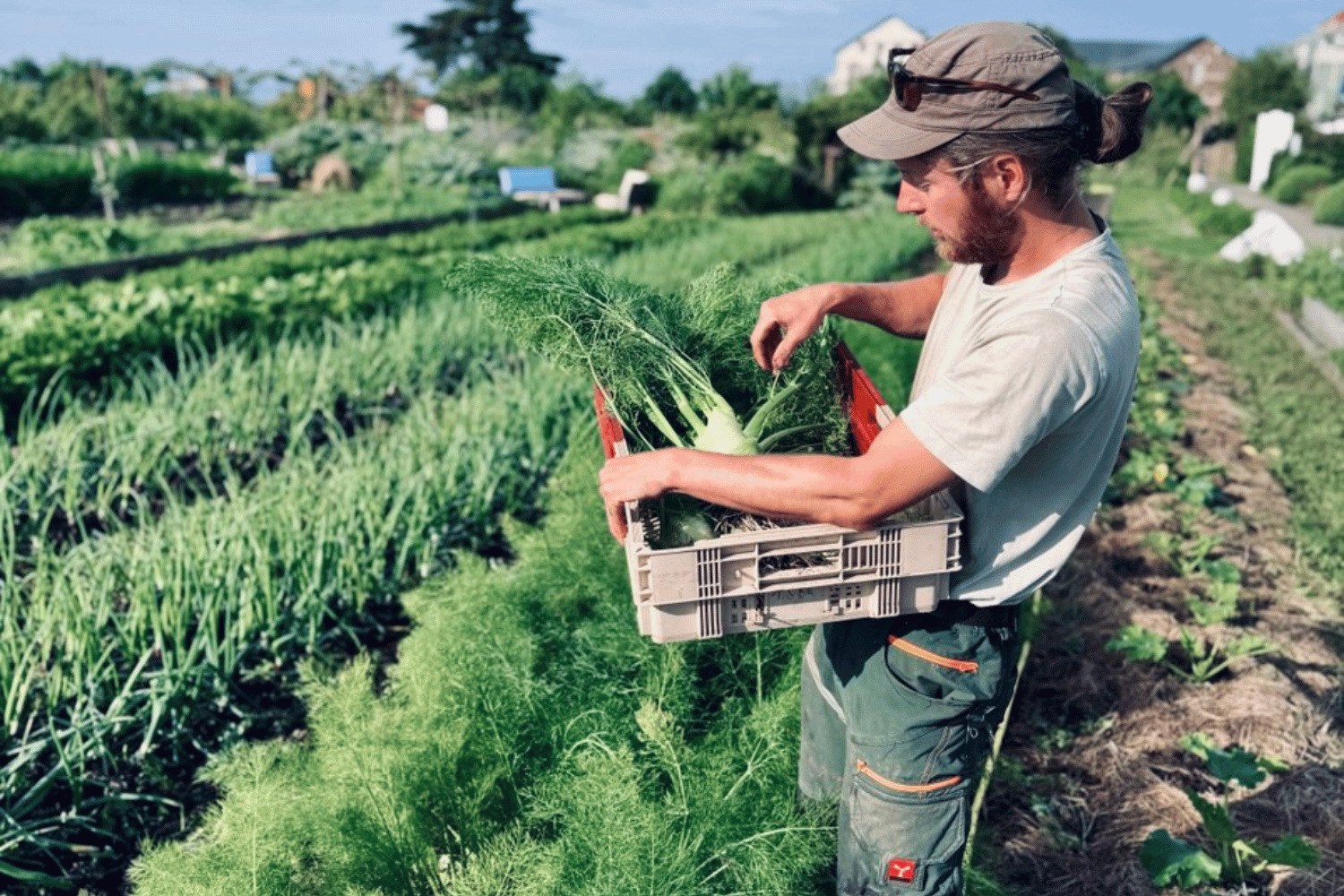 retraite autonomie résilience pornic