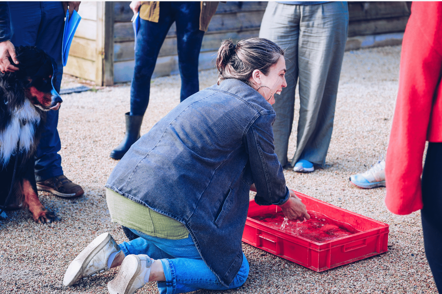 retraite autonomie et résilience pornic