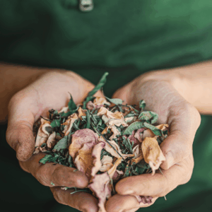 tisane stage éco domaine la fontaine pornic