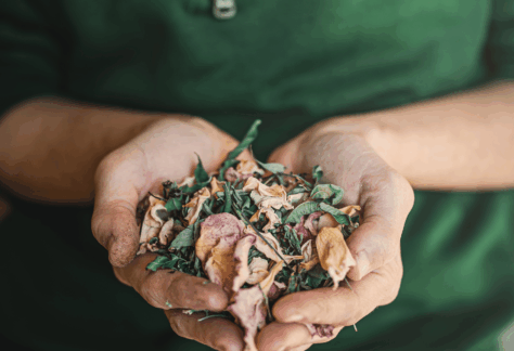 tisane stage éco domaine la fontaine pornic