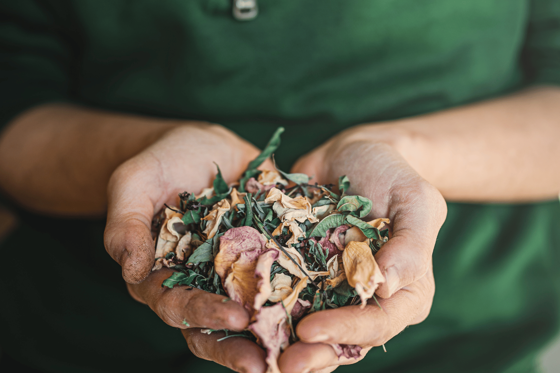 tisane stage éco domaine la fontaine pornic