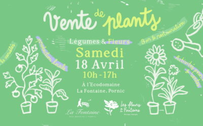 Vente de Plants – 18 avril 2026
