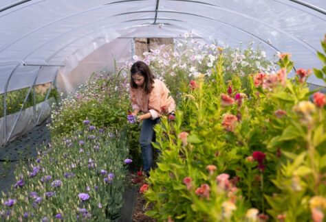 visite ferme florale pornic