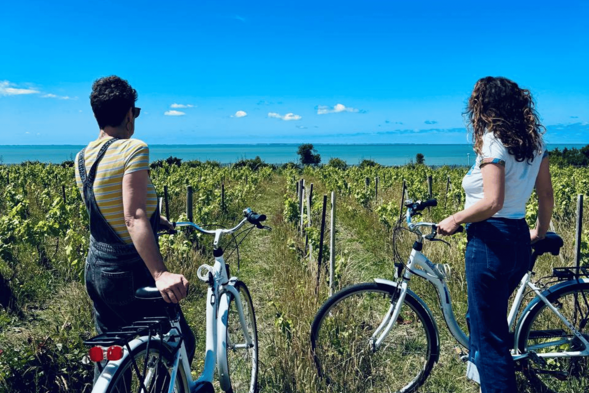Offre séjour Vélo Pornic eco domaine la fontaine