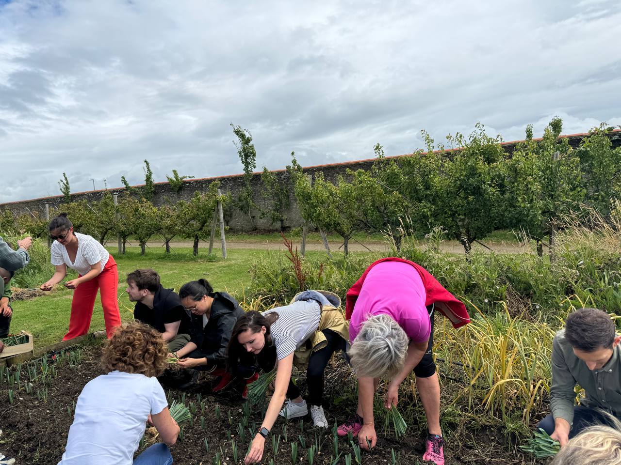 Jardinage en groupe dans un potager