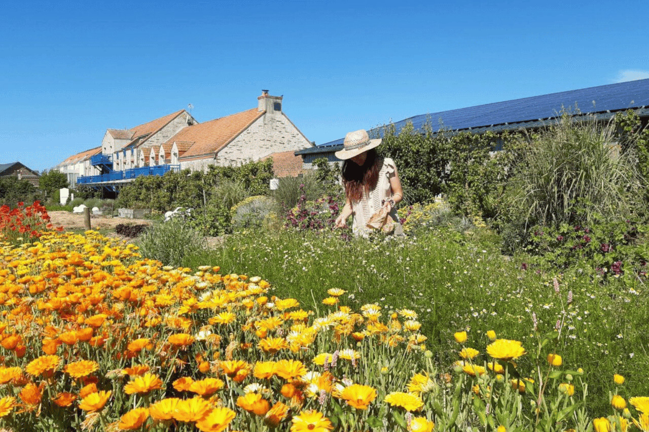 Champ de fleurs et ferme.