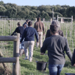 groupe dans un vignoble