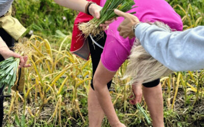 Top 5 idées de team building autour de l’environnement pour un séminaire qui marque / cohésion