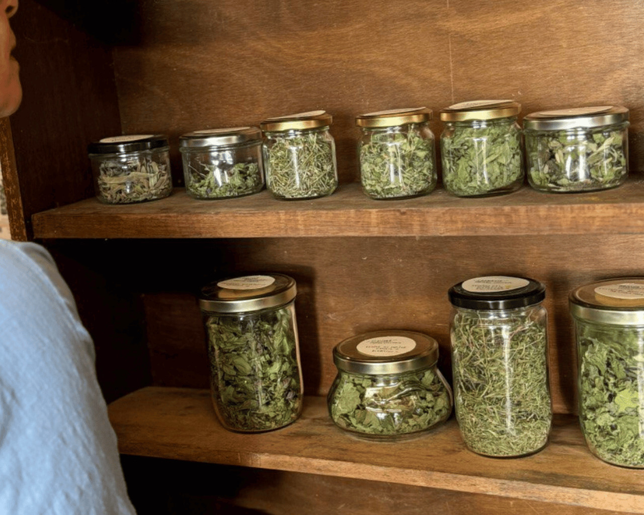 Herbes séchées en bocaux